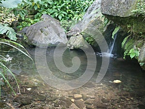 A small wild waterfall falls into a basin