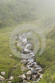 Small winding stream running down the mountain on a foggy day