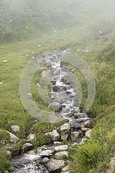 Small winding stream running down the mountain on a foggy day