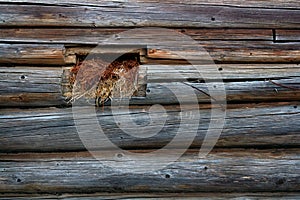small window in the log wall