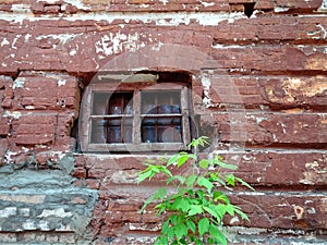 A small window in an old wall of red brick and a green tree beside it