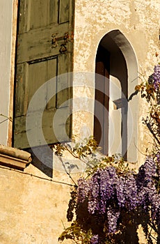 Small window with wisteria flowers in Asolo