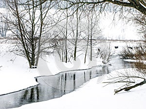 Small winter forest river