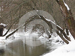 Small winter river