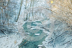 Small winter river in forest