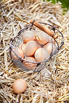 Small wire basket filled with fresh brown eggs