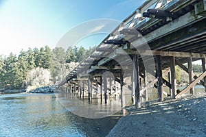 Small wood Bridge at Fresh morning,Esquimalt Lagoon,Vancouver Island