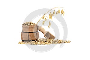 Small wooden barrel filled with oats grains with husk