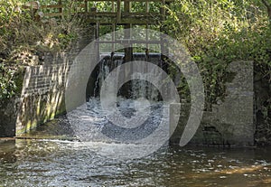 A small wooden bridge crossing a wier in the woodland photo