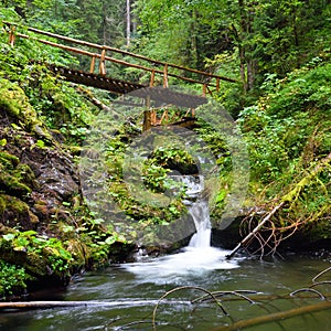 Small wooden bridge leading across a mountain creek