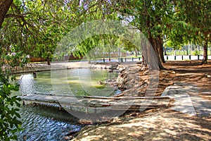 A small wooden bridge over the lake surrounded by lush green trees and deep green water at Lake Evans