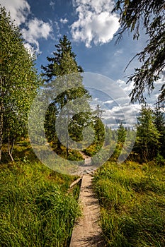 Small wooden bridge over small stream in the forest on the top of table mountains