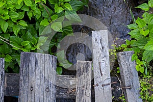 Small wooden bridge over a small strem water  in a rural village in northern Thailand photo