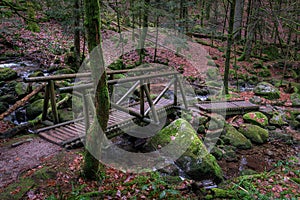 Small wooden bridge on a stream surrounded by mossy rocks in the forest