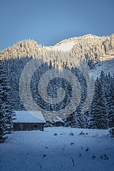 Small wooden buildings on a hillside