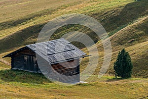 Small wooden cabin on grassland, in seiser alm