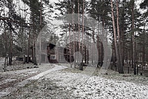 Small wooden cottage in a dark pine forest