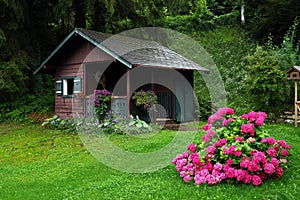 Small wooden cottage on the edge of the forest near Sankt Gilgen, the picturesque village by the Wolfgangsee.