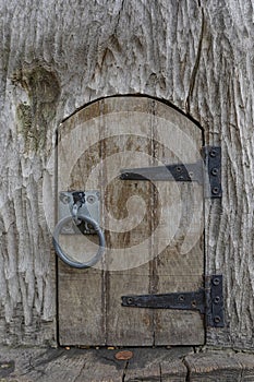 Small wooden doorway in  tree trunk