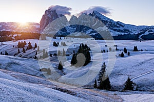 Small wooden farm house, cottage or log cabins on meadow on Alpe di Siusi, Seiser Alm. Alpe di Siusi or Seiser Alm with Sassolungo