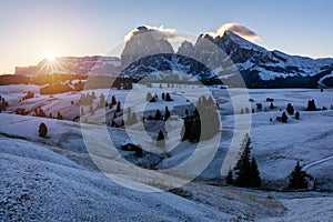 Small wooden farm house, cottage or log cabins on meadow on Alpe di Siusi, Seiser Alm. Alpe di Siusi or Seiser Alm with Sassolungo