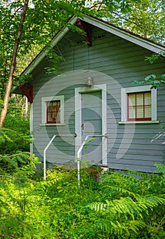 Small wooden house or hut in a forest Canada. Old cabin with in the woods. Wooden small cottage for camping among trees