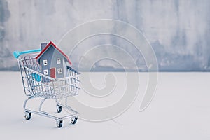 Small wooden house model in shopping cart, real estate, mortgage, property insurance and security concept