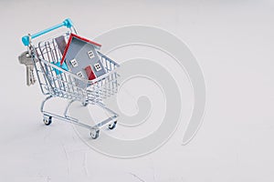 Small wooden house model in shopping cart, real estate, mortgage, property insurance and security concept