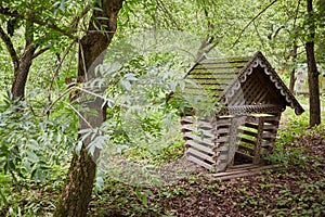 Small wooden house with mossy roof at