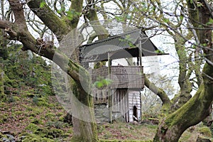 A small wooden house in the park of Snowdonia