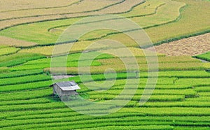 Small wooden house on the rice fields in Hagiang, Vietnam