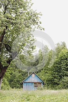 Small wooden house in rural field, view on a farmhouse in countryside, summer scenic landscape