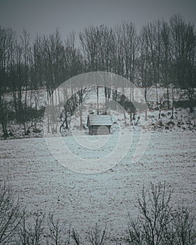 Small wooden house surrounded by now in cold winter, vertical