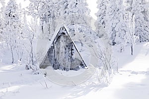 Small wooden old gray house toilet covered with snow against background of winter forest and trees