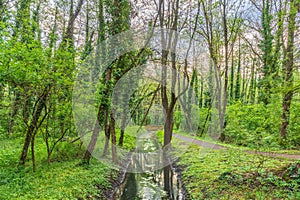 Small wooden pedestrian bridge over, Heviz