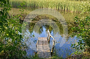 Small wooden pier