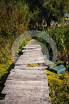 Small wooden pier near the river
