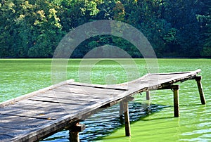 Small wooden pier near the river