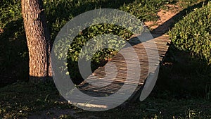 Small wooden plank bench made as bridge across small melioration water channel, spring green lawn and tree trunk around