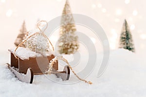 Small wooden sleigh with a Christmas tree in the snow