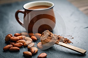 Small wooden spoon with cocoa powder and beans with a brown cup on a background