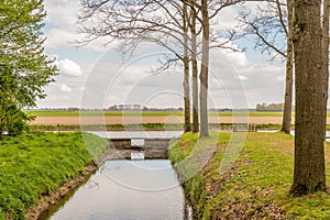 Small wooden weir in a Dutch polder