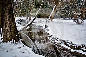 Small Woodland Stream with Snow