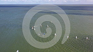 Small yachts  competition on lagoon water, aerial