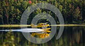 Small yellow airplane on pontoons takes off from a lake.