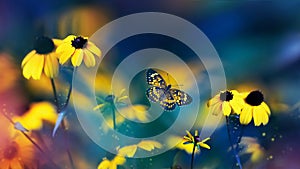 Small yellow bright summer flowers and beautiful butterfly  on a background of blue, pink and green foliage in a fairy garden.