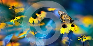 Small yellow bright summer flowers and Nonarch butterfly on a background of blue and green foliage in a fairy garden.