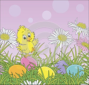 Small yellow chick and colorful Easter eggs