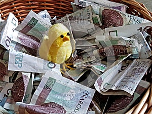 A small yellow cypher in a basket with paper money. Money does not peck the chickens. Polish paper banknotes. Donations for those photo