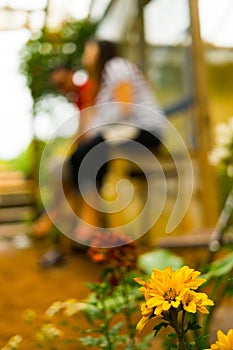 Small yellow flower with a couple in the background